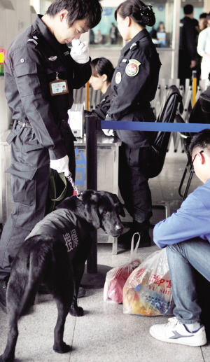 天津火车站安检门与警犬齐上阵打造高等级安保体系