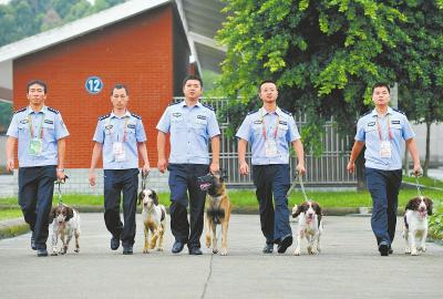 阅兵排爆安检 四川警犬每天出勤超10小时